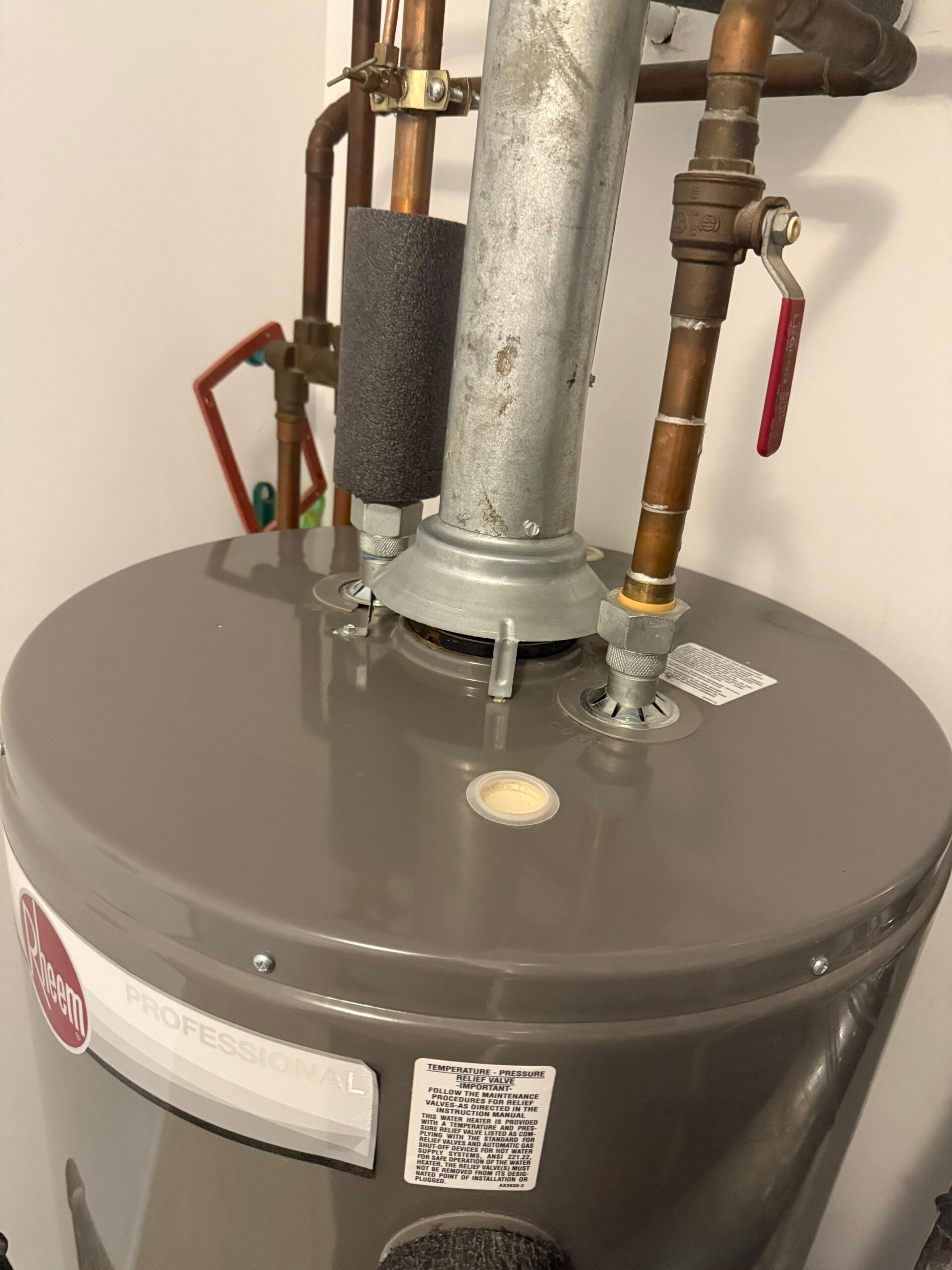 WhatsApp Image 2026-03-24 at 12.40.08 PM